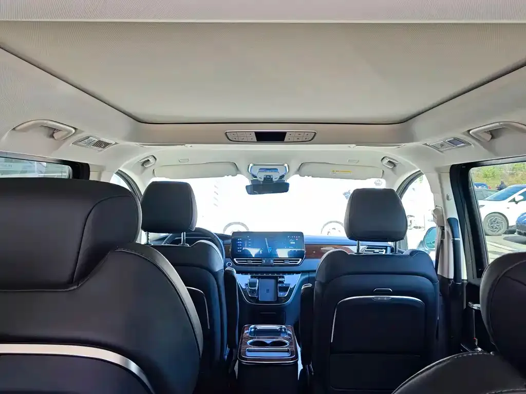 Hongqi HQ9 2023 из CN, фото 10