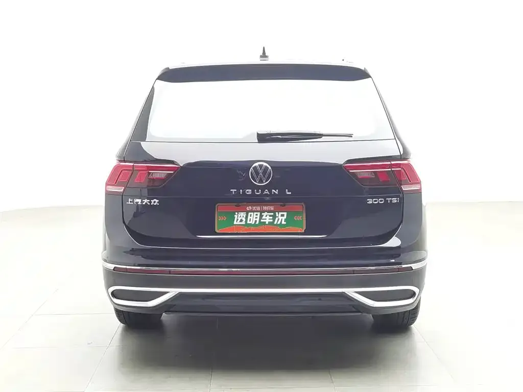 Volkswagen Tiguan L 2023 из CN, фото 4