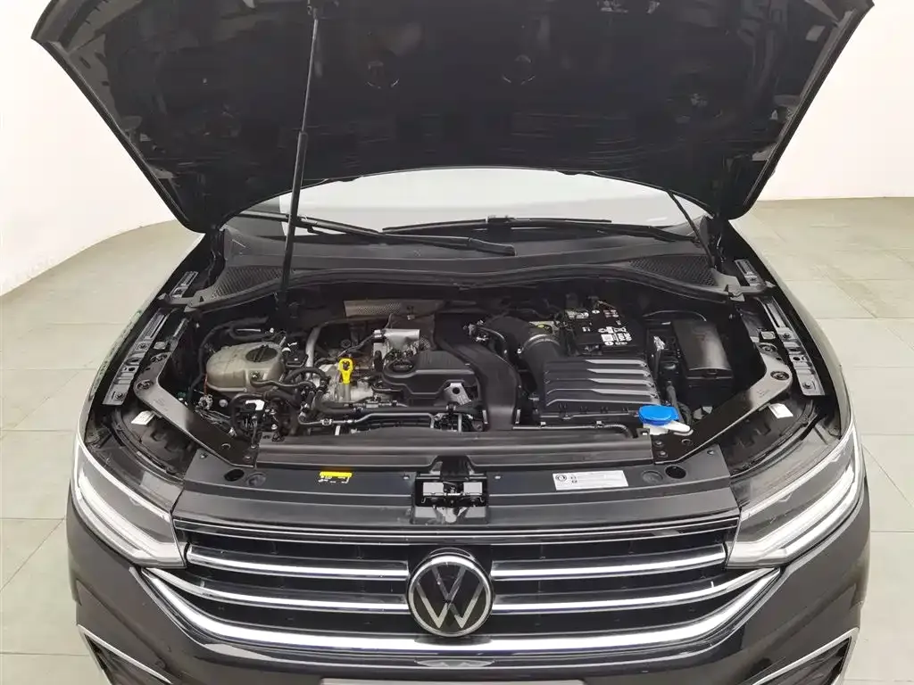Volkswagen Tiguan L 2023 из CN, фото 6