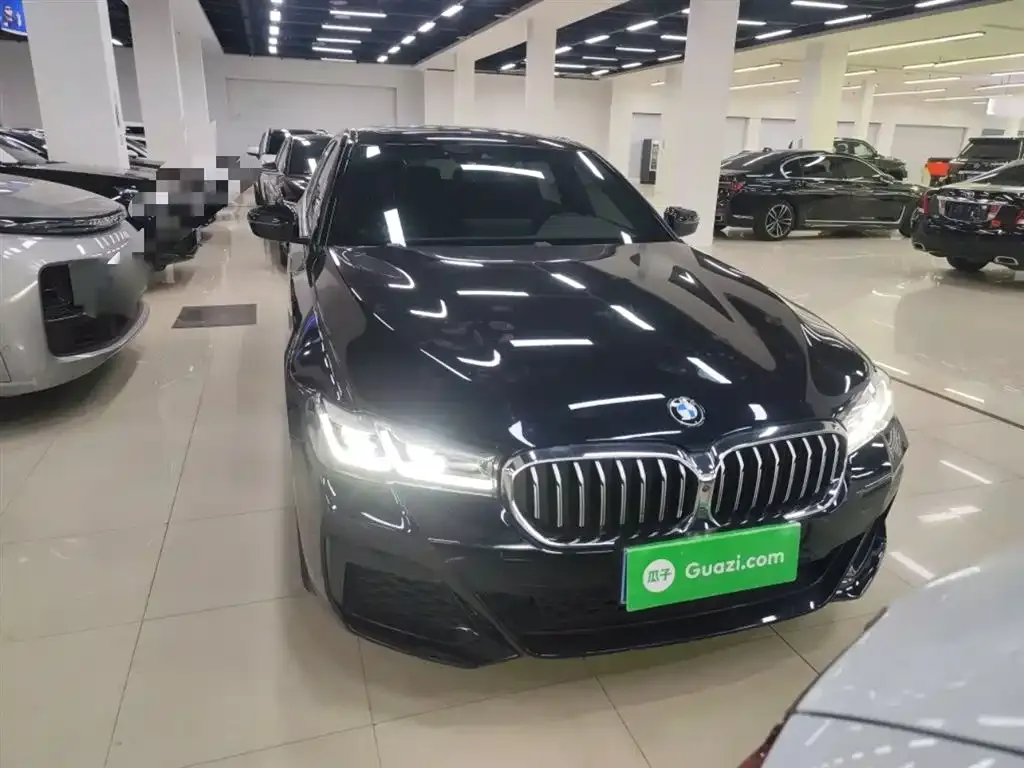 BMW 5 Series 2022 из CN, фото 3