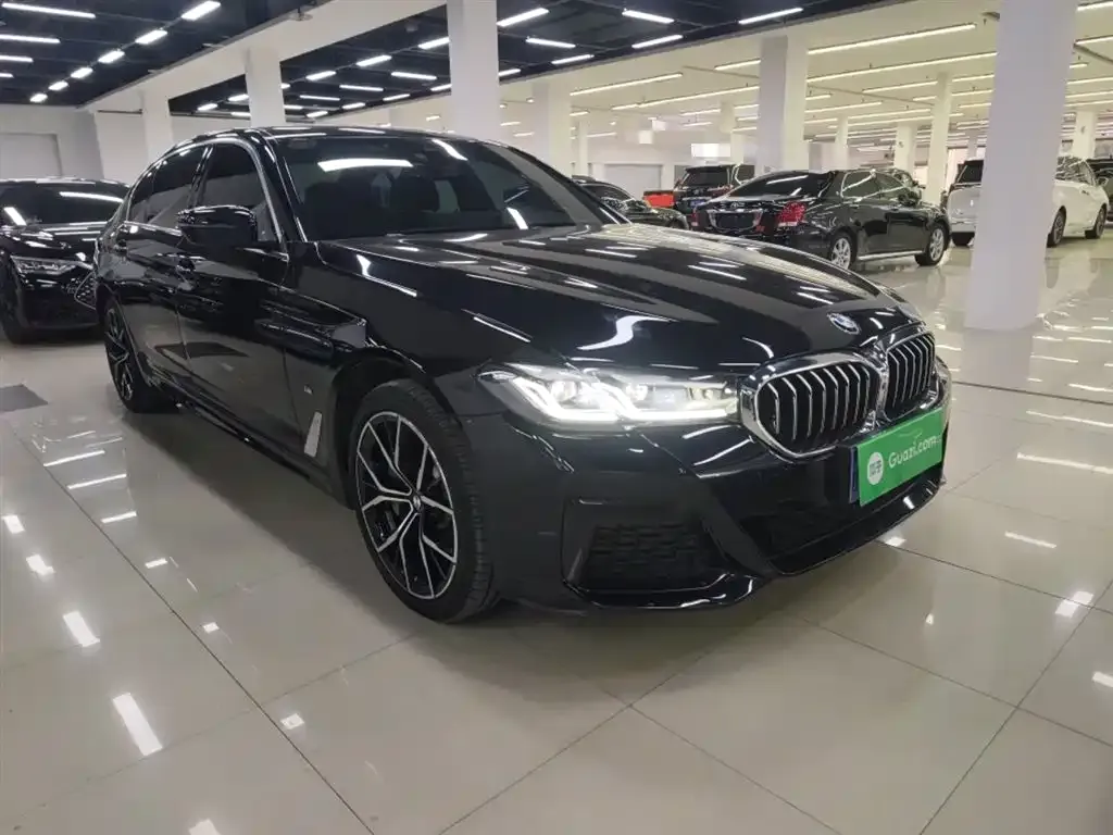 BMW 5 Series 2022 из CN, фото 4
