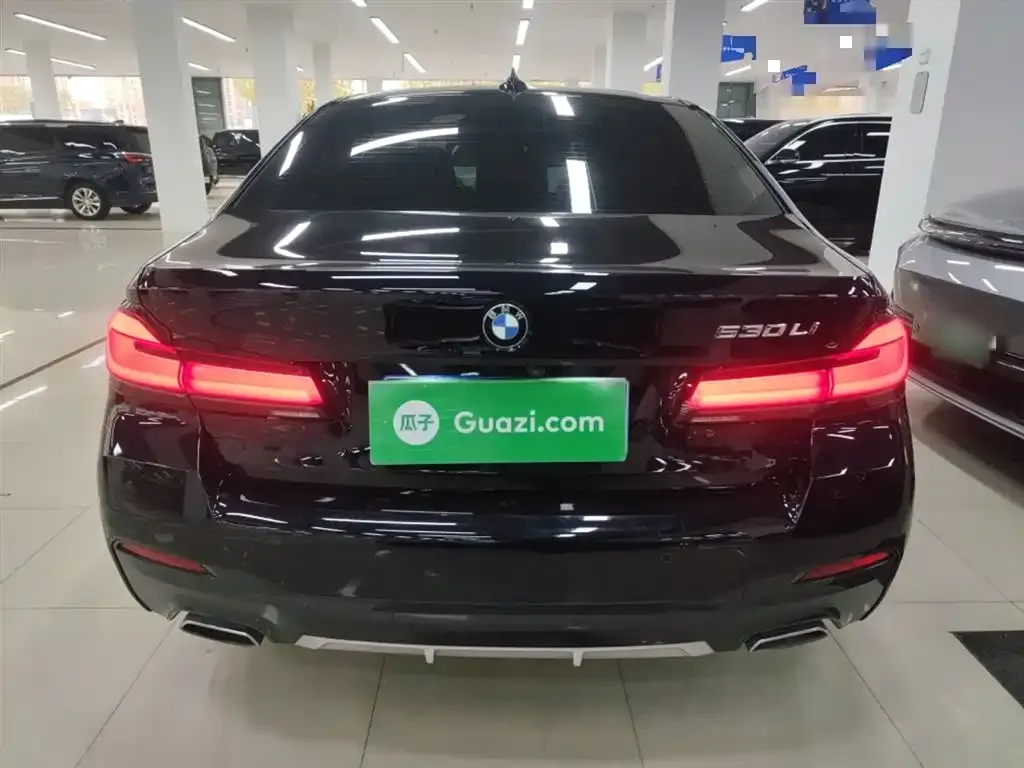 BMW 5 Series 2022 из CN, фото 6