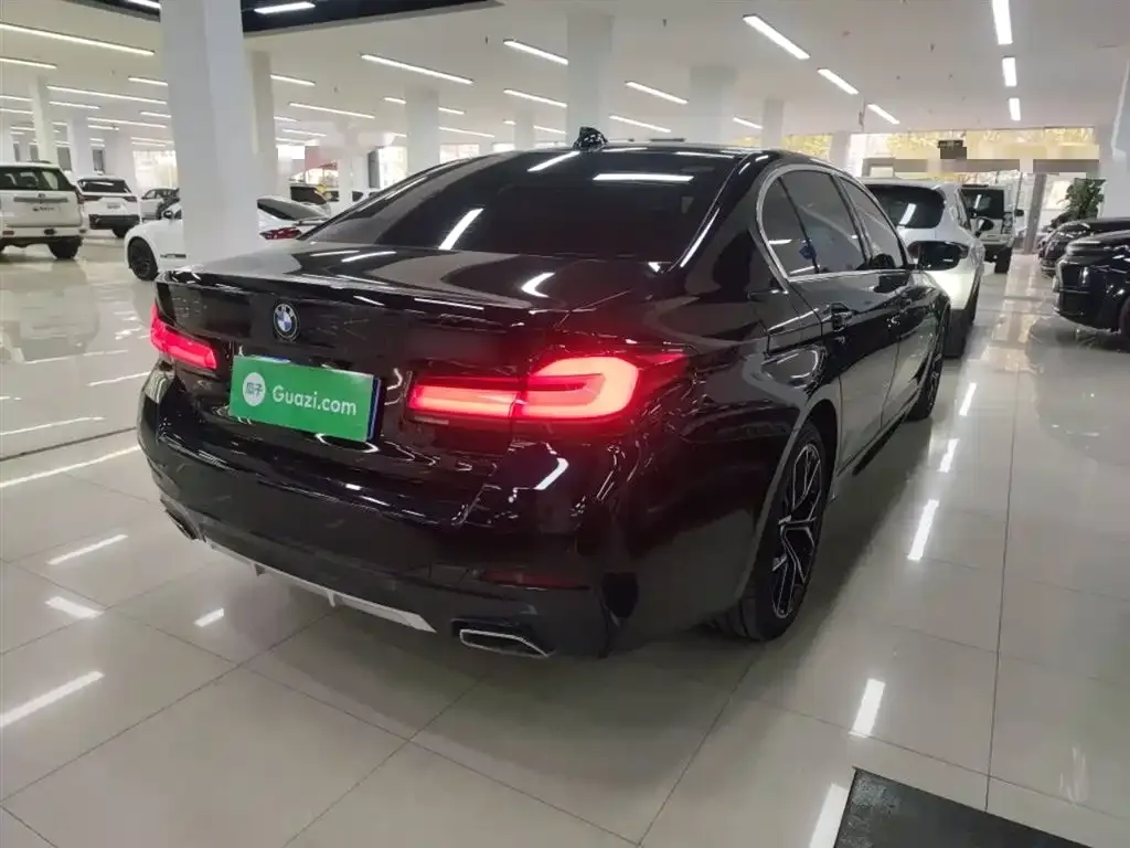 BMW 5 Series 2022 из CN, фото 7