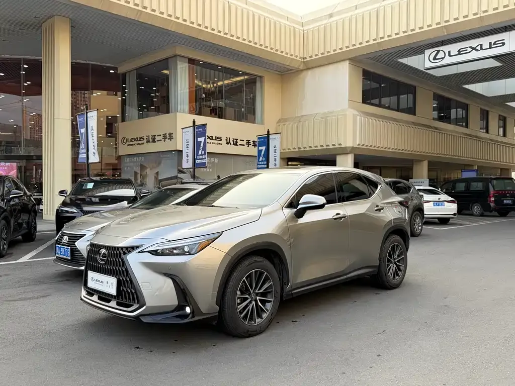 Lexus NX New Energy 2024 из CN, фото 1