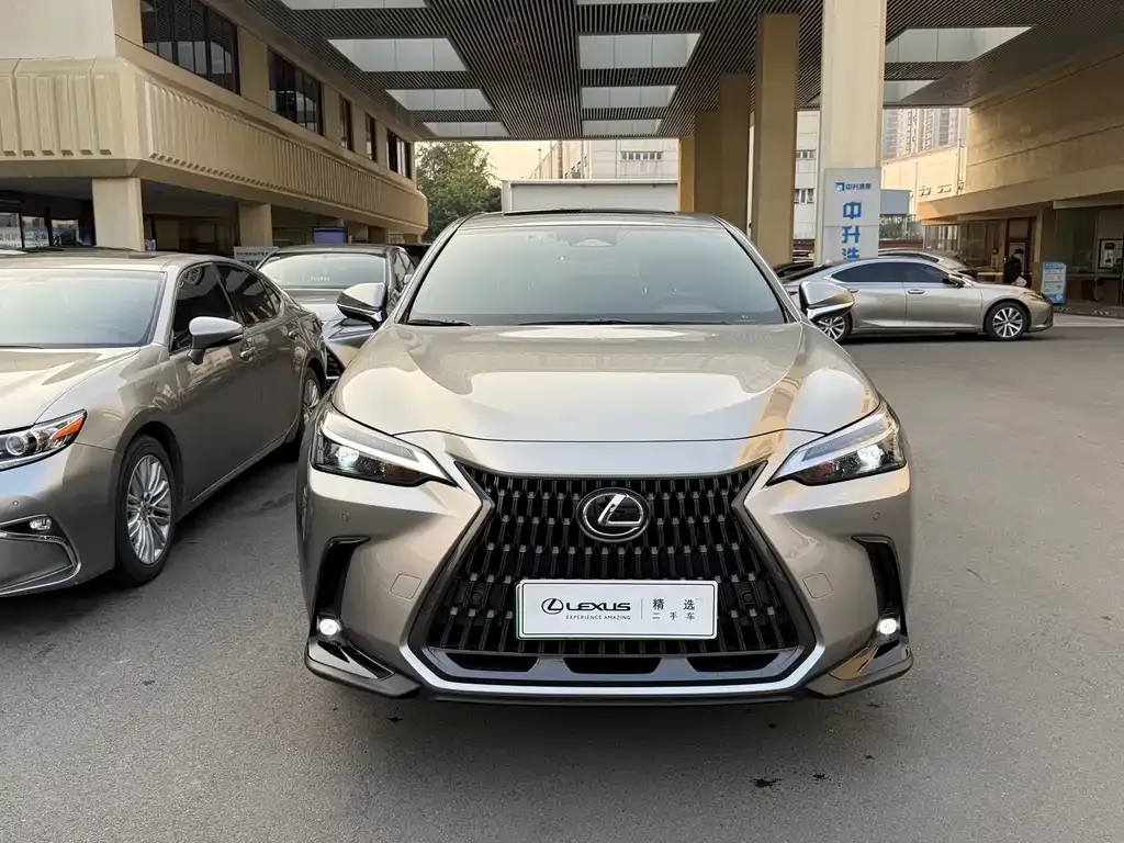 Lexus NX New Energy 2024 из CN, фото 2