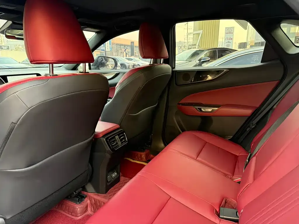 Lexus NX New Energy 2024 из CN, фото 6