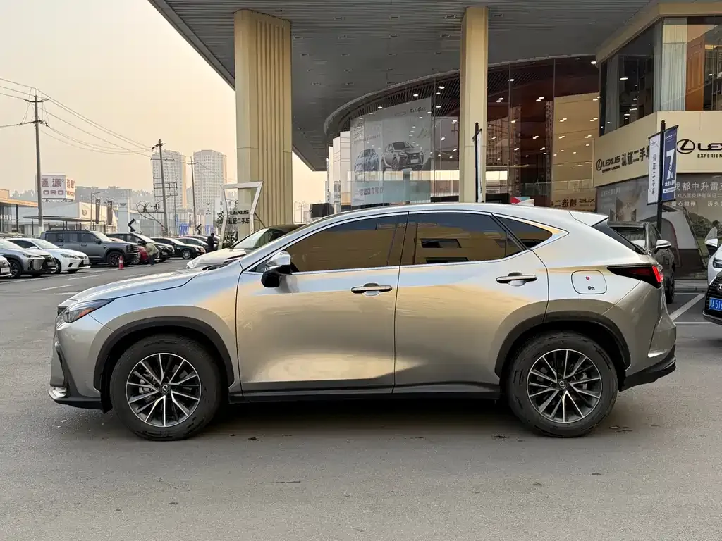 Lexus NX New Energy 2024 из CN, фото 7