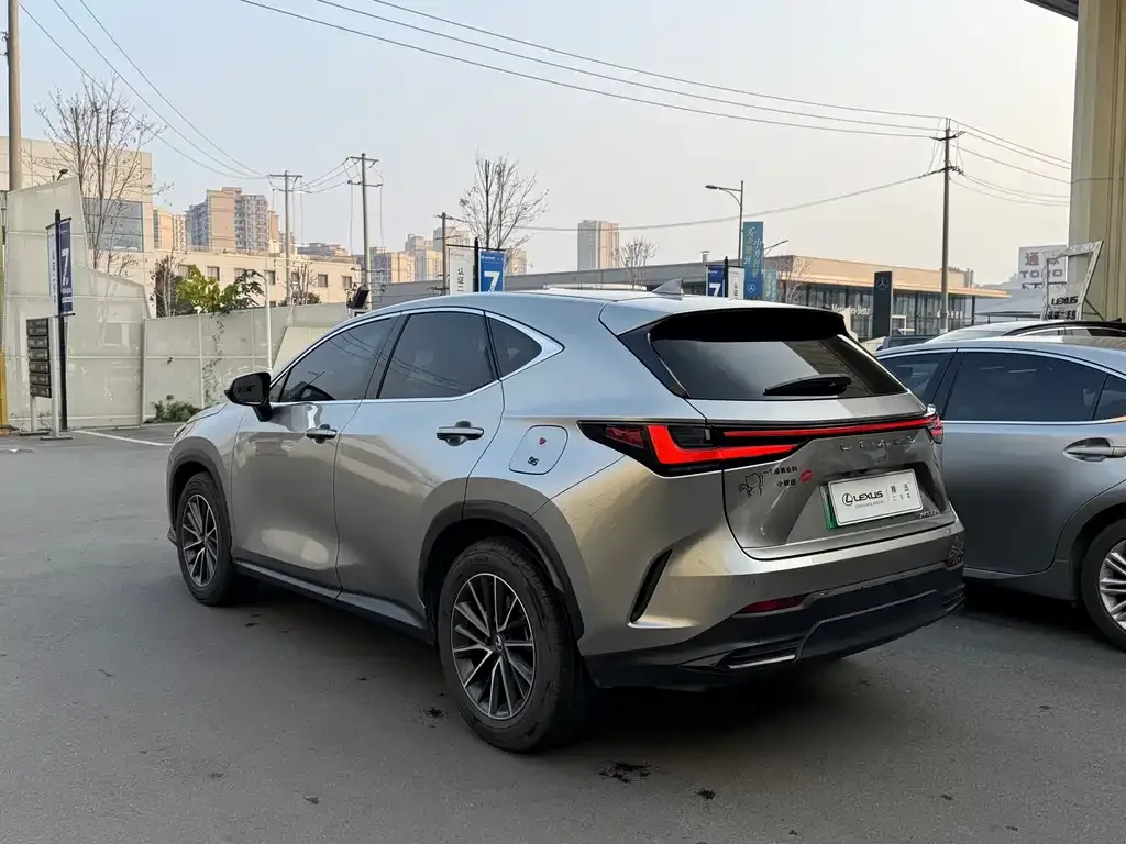 Lexus NX New Energy 2024 из CN, фото 8