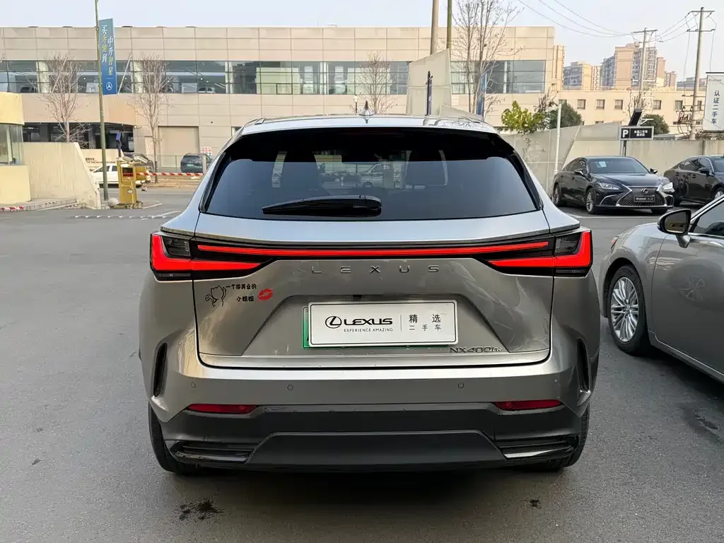 Lexus NX New Energy 2024 из CN, фото 9