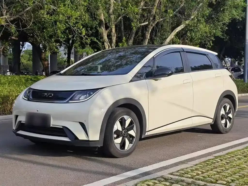 BYD Dolphin 2024 из CN, фото 1