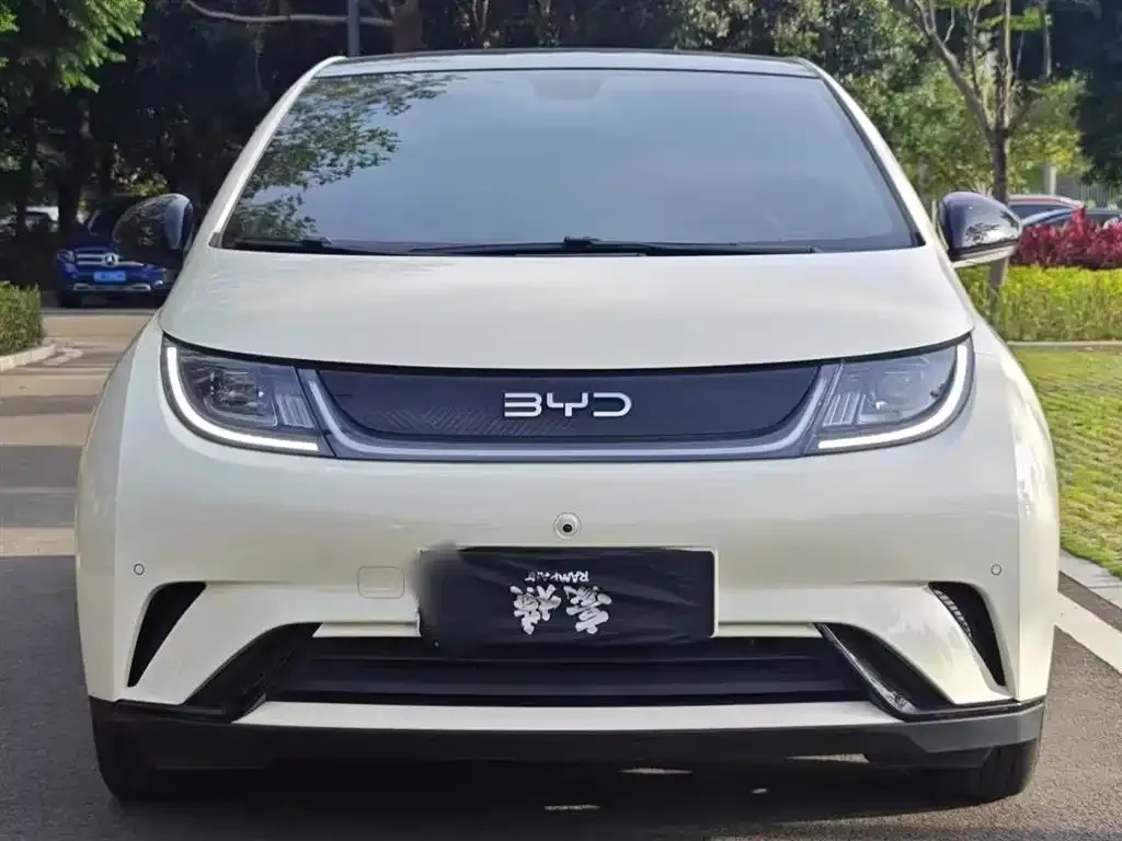 BYD Dolphin 2024 из CN, фото 3