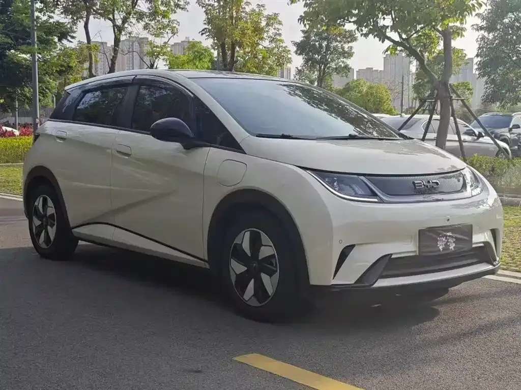 BYD Dolphin 2024 из CN, фото 4