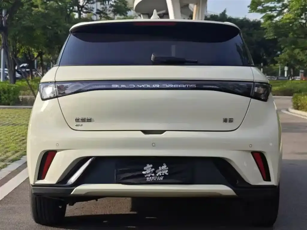 BYD Dolphin 2024 из CN, фото 6