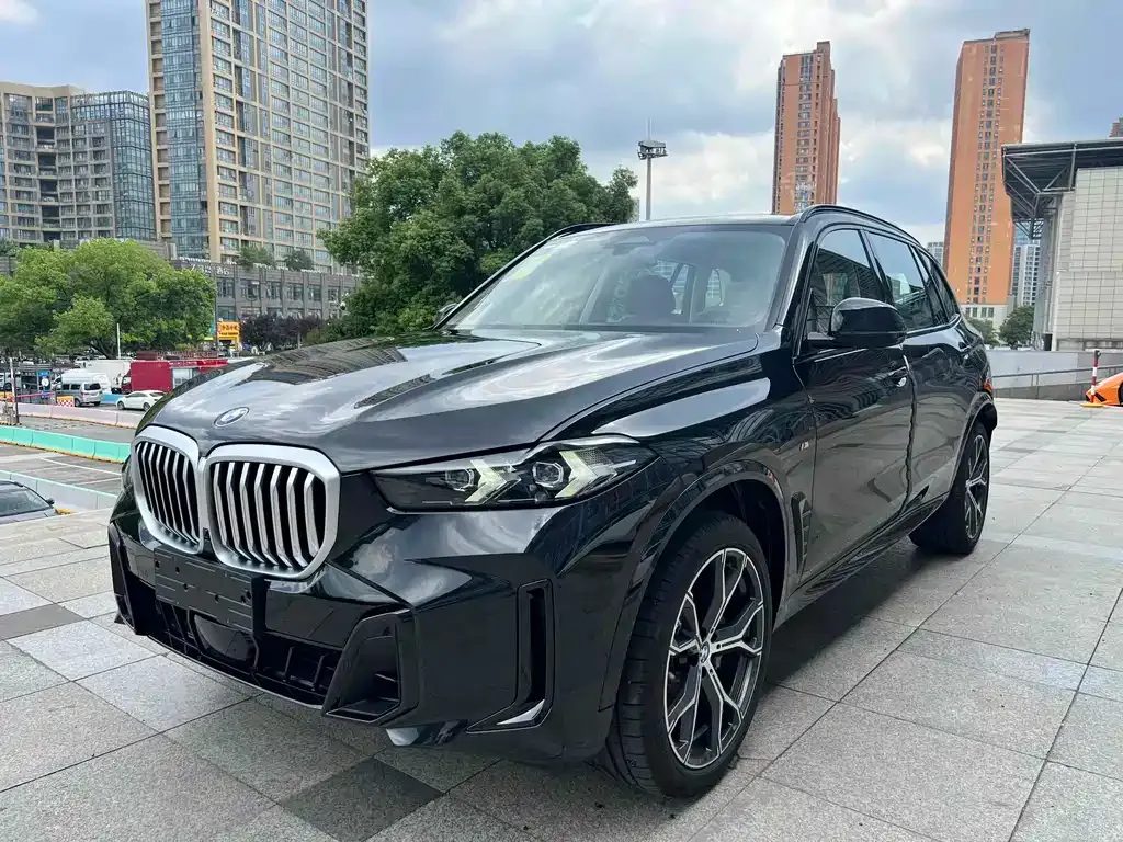 BMW X5 2025 из CN, фото 1