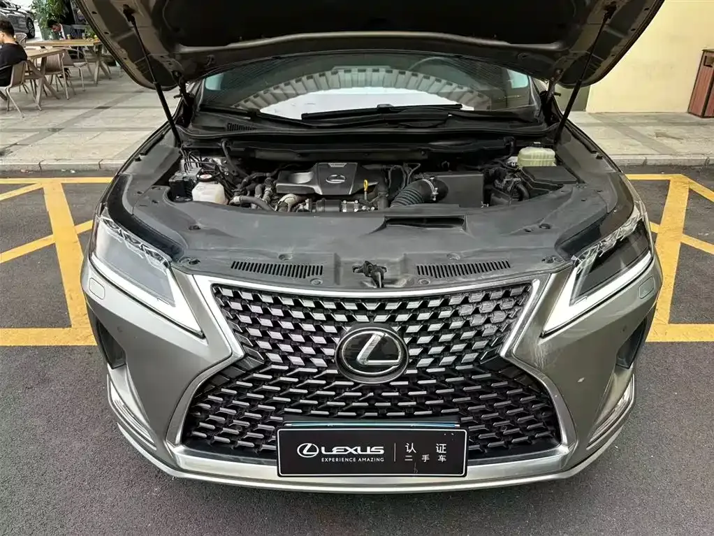Lexus RX 2022 из CN, фото 4
