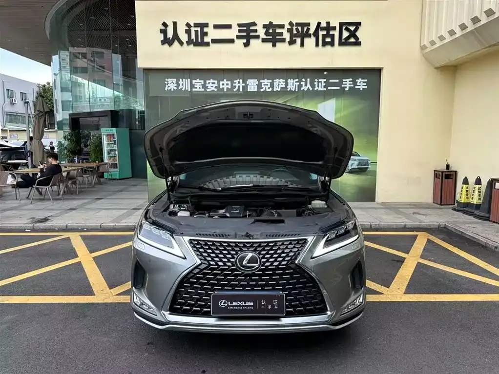 Lexus RX 2022 из CN, фото 5