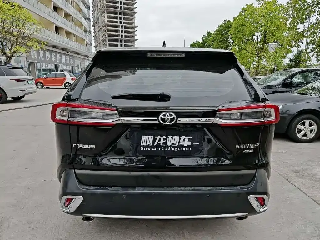 Toyota Wildlander 2022 из CN, фото 4
