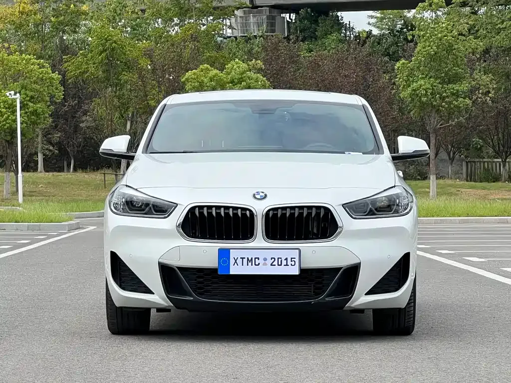 BMW X2 2021 из CN, фото 2