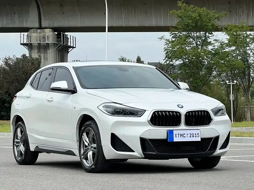 BMW X2 2021 из CN, фото 3