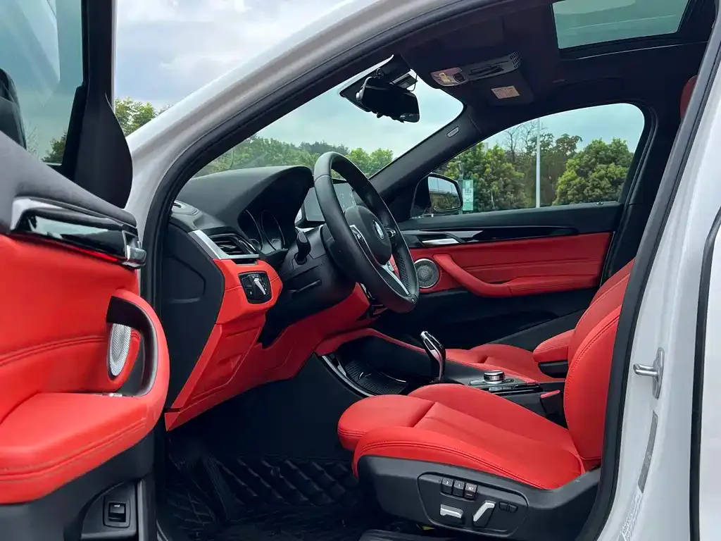 BMW X2 2021 из CN, фото 4