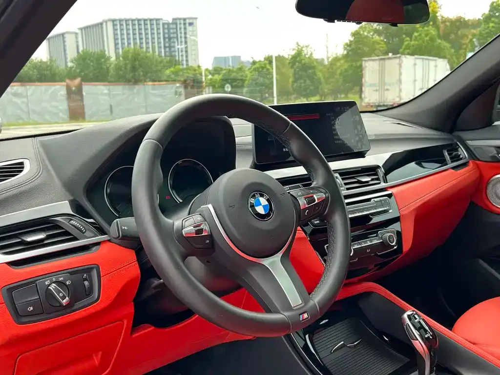 BMW X2 2021 из CN, фото 5
