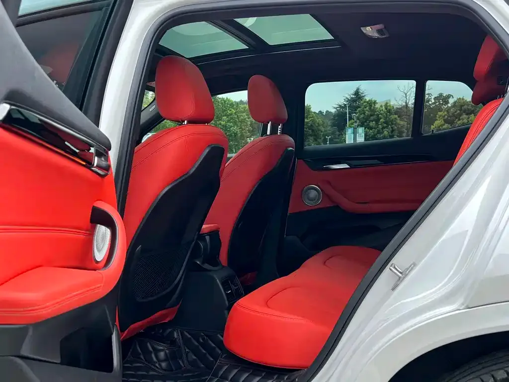 BMW X2 2021 из CN, фото 9