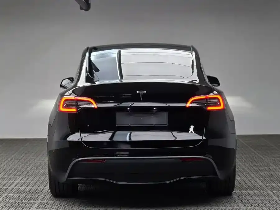 Tesla Model Y 2022 из CN, фото 7