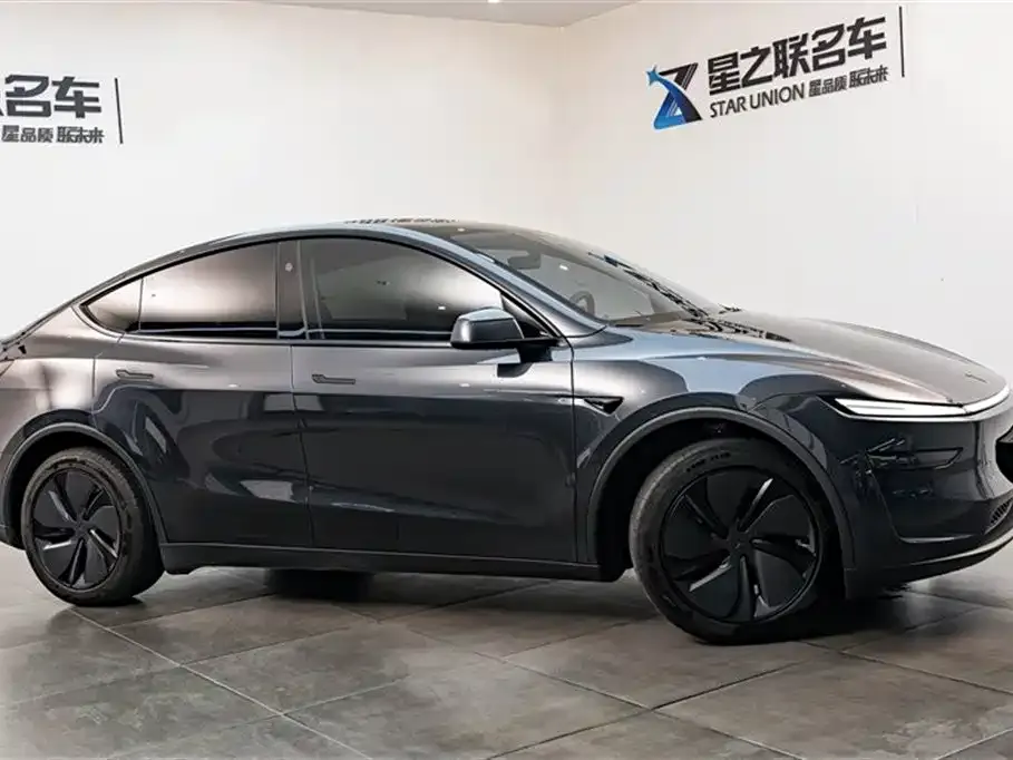 Tesla Model Y — фото 6
