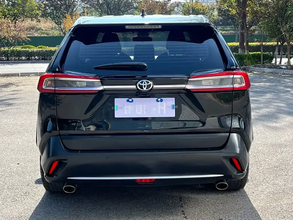 Toyota Wildlander 2021 из CN, фото 5
