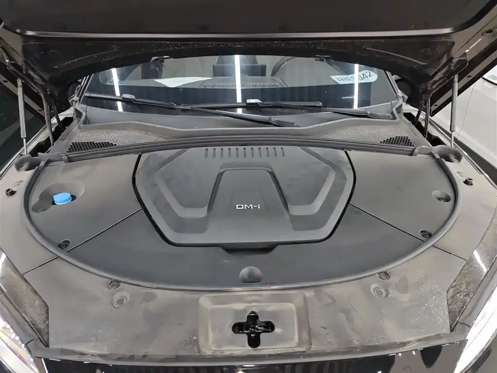 BYD PLUS New Energy — фото 10