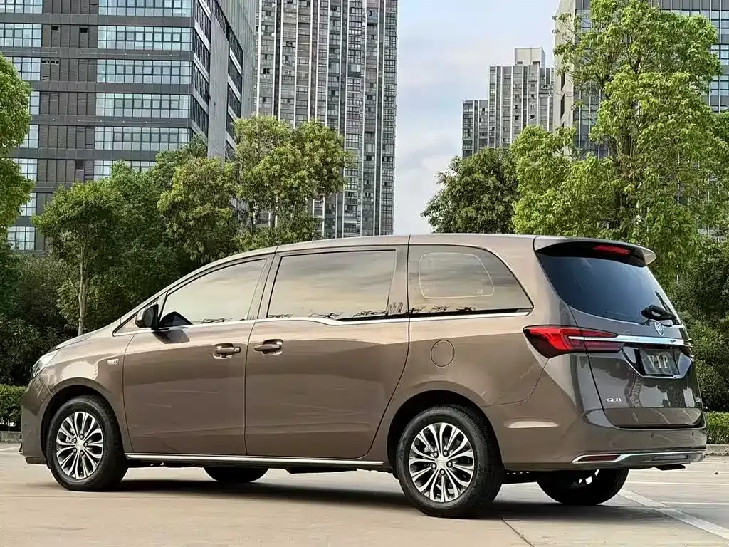 Buick GL8 2023 из CN, фото 9