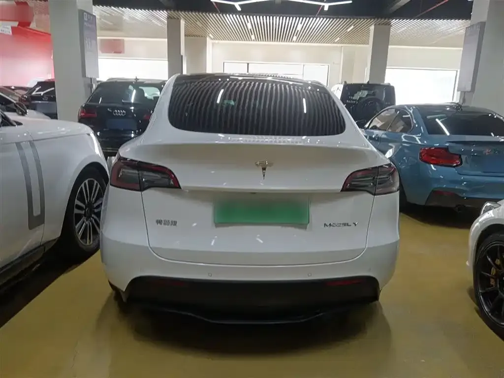 Tesla Model Y 2022 из CN, фото 6