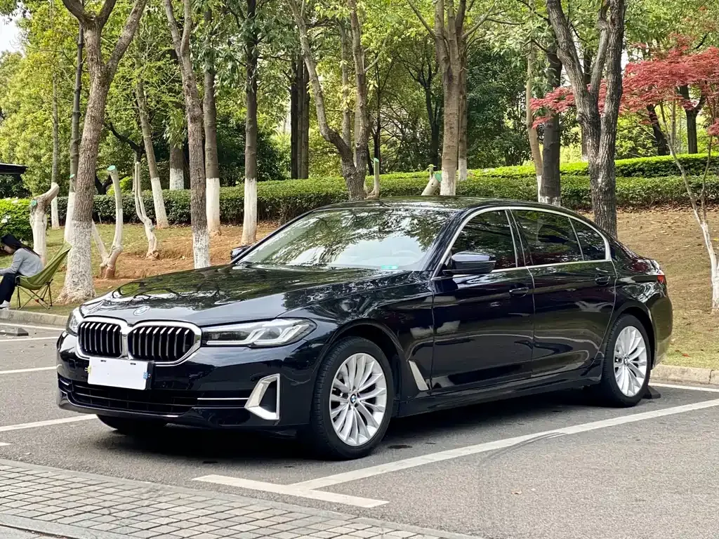 BMW 5 Series 2022 из CN, фото 1