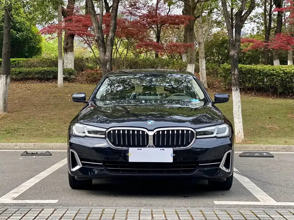 BMW 5 Series 2022 из CN, фото 2