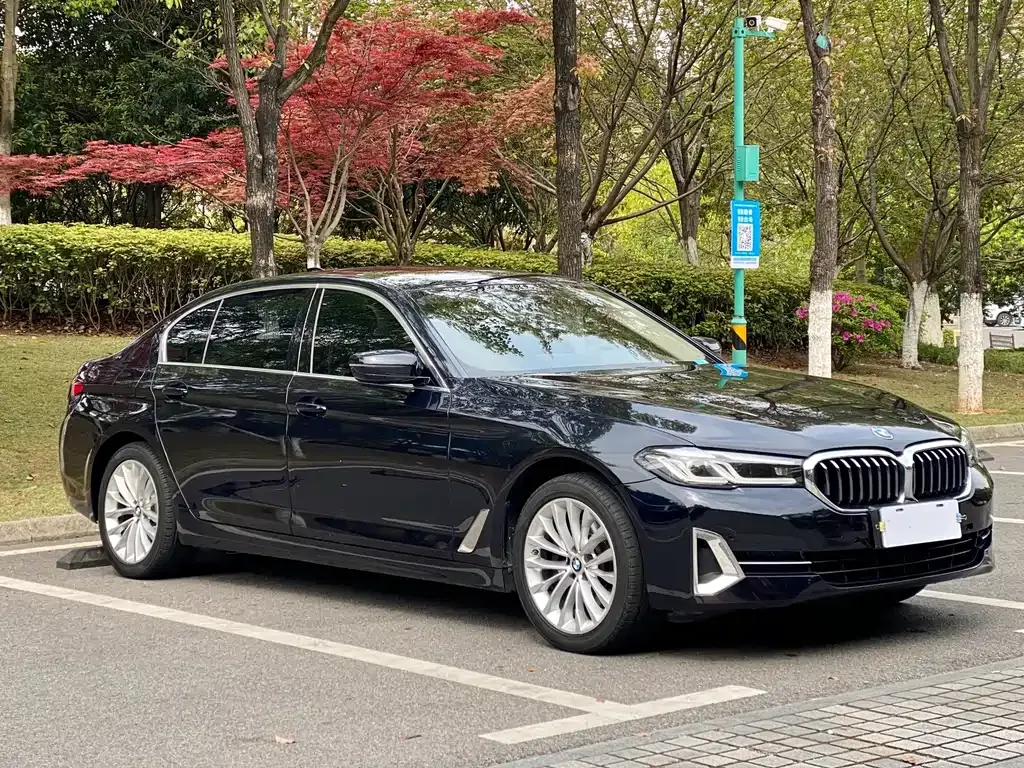 BMW 5 Series 2022 из CN, фото 3