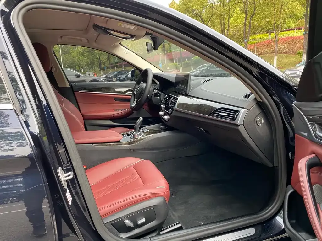 BMW 5 Series 2022 из CN, фото 4