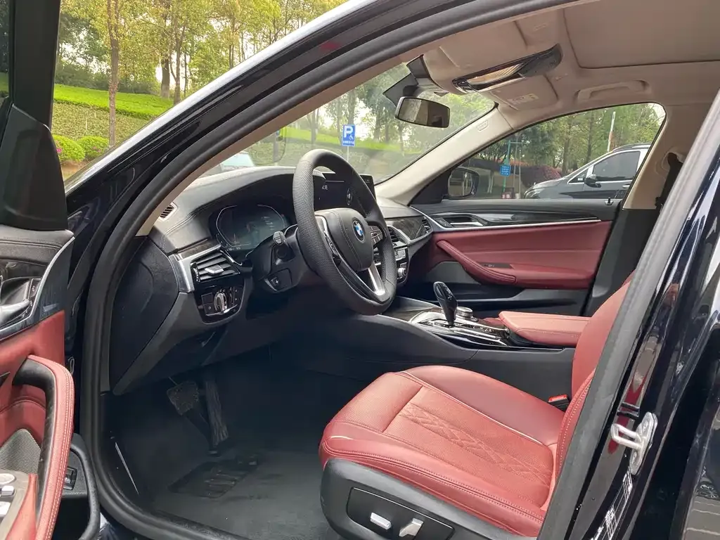 BMW 5 Series 2022 из CN, фото 6