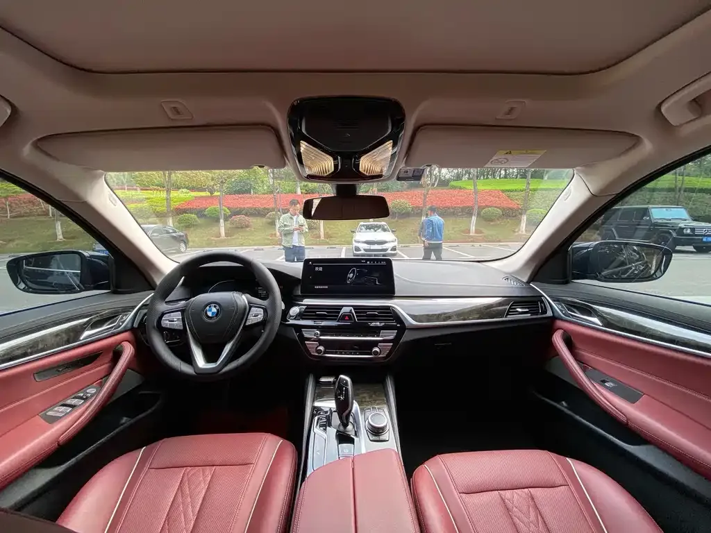 BMW 5 Series 2022 из CN, фото 7
