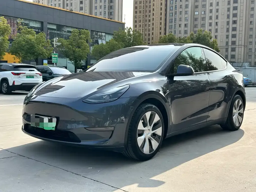 Tesla Model Y 2021 из CN, фото 1