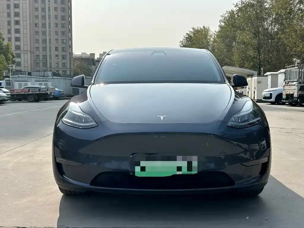 Tesla Model Y 2021 из CN, фото 2