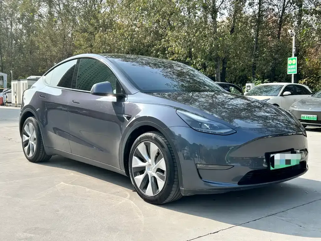 Tesla Model Y 2021 из CN, фото 3