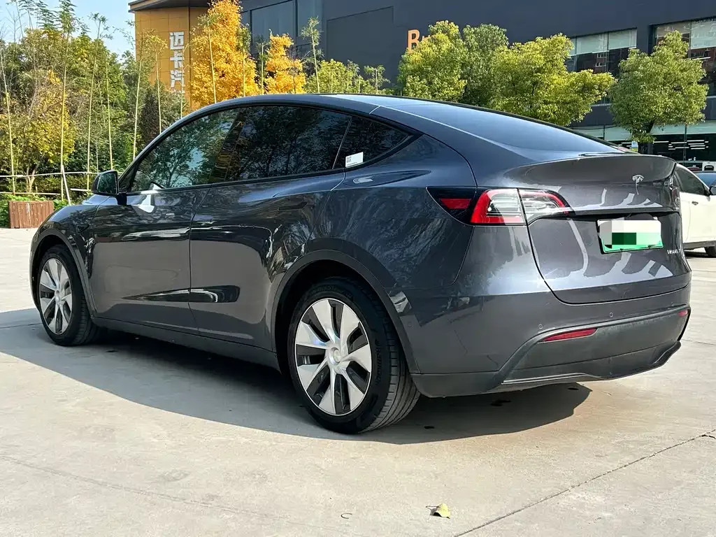 Tesla Model Y 2021 из CN, фото 4