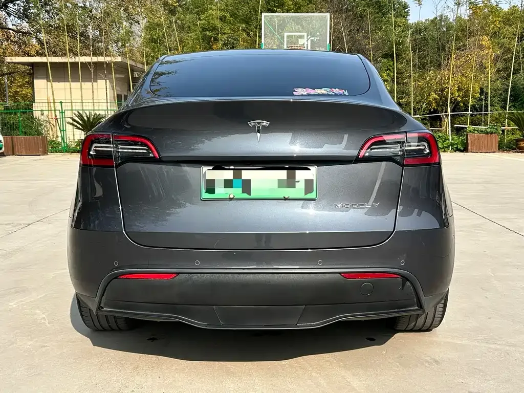 Tesla Model Y 2021 из CN, фото 5