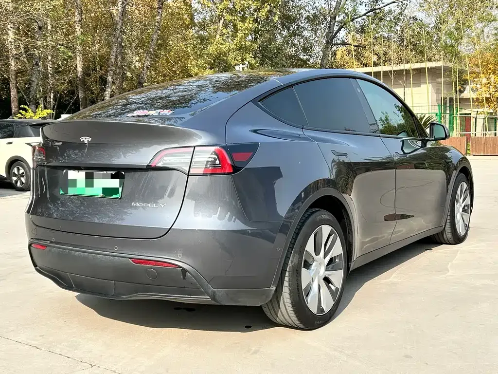 Tesla Model Y 2021 из CN, фото 6