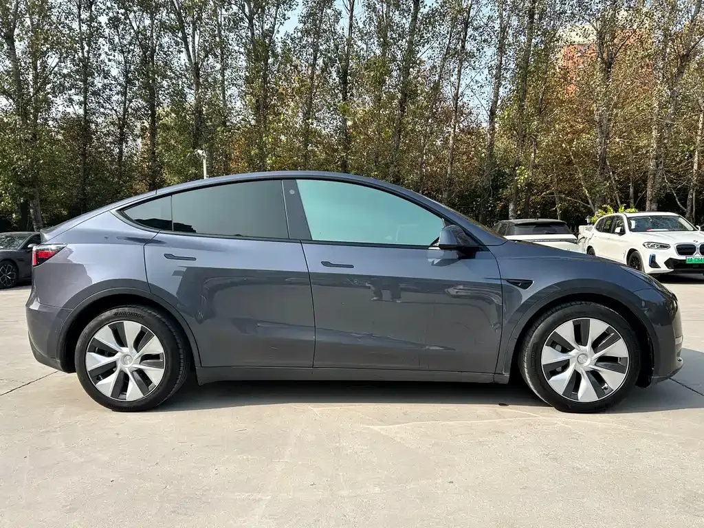Tesla Model Y 2021 из CN, фото 7