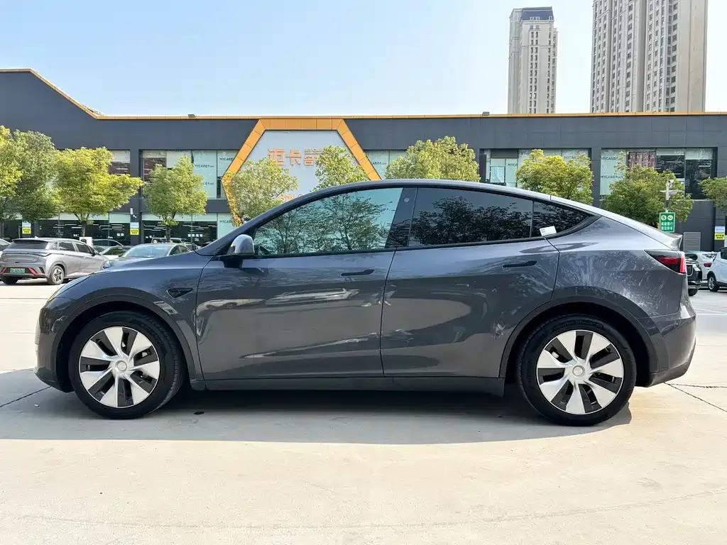 Tesla Model Y 2021 из CN, фото 8