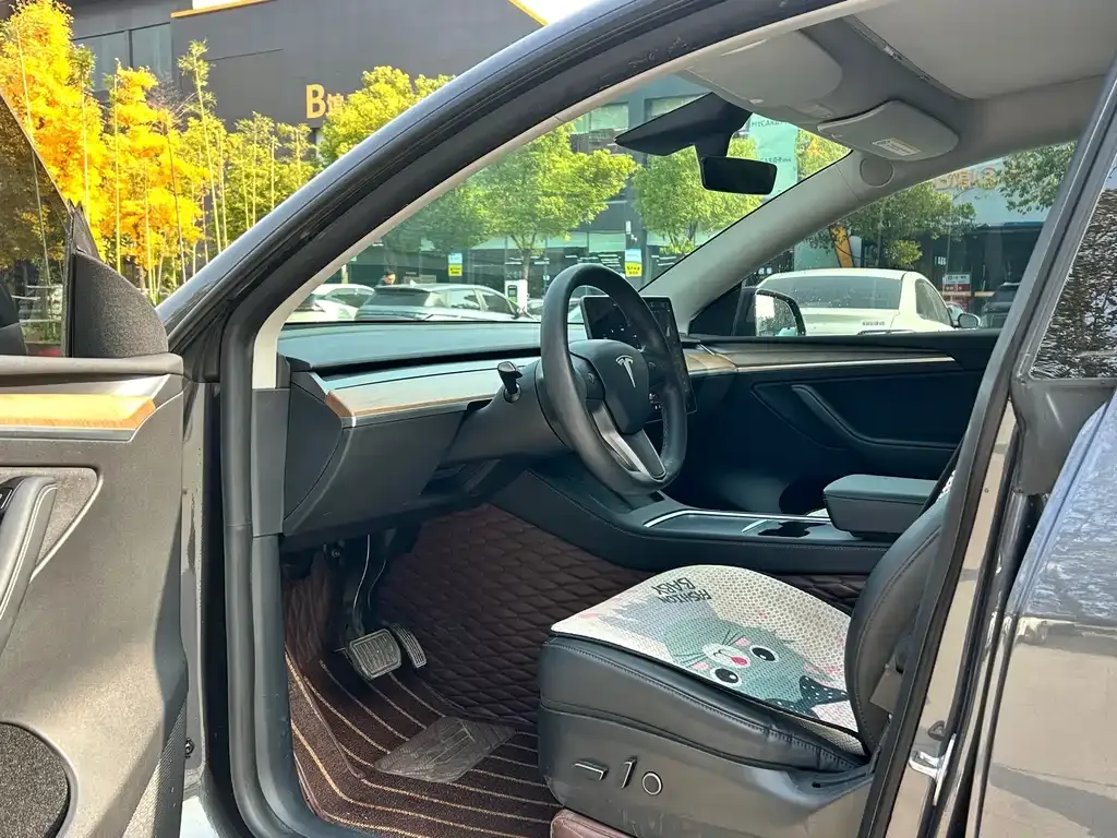 Tesla Model Y 2021 из CN, фото 9