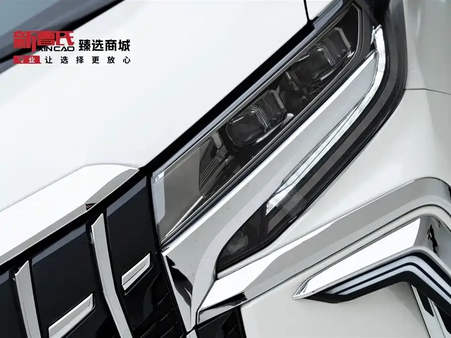 Toyota Alphard — фото 6