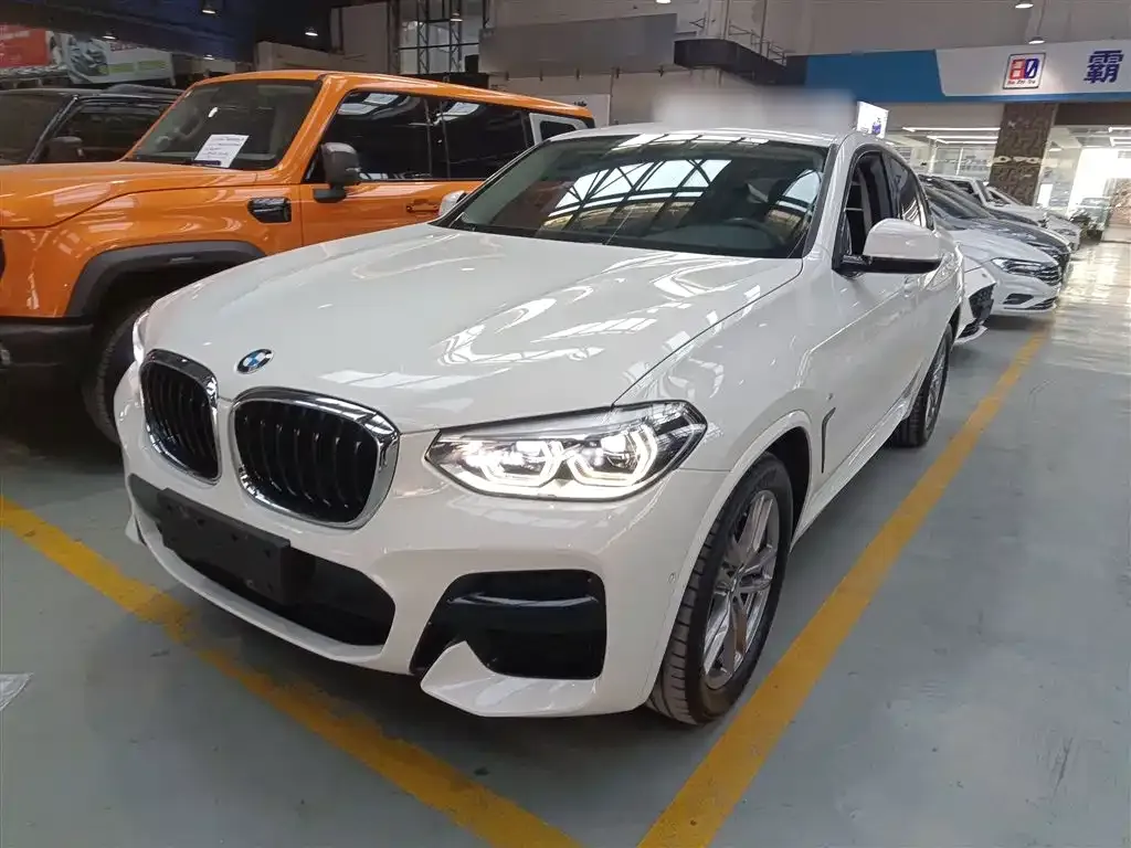 BMW X4 2021 из CN, фото 2
