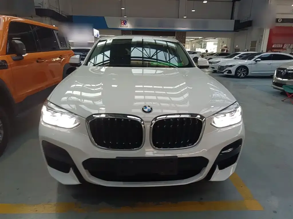 BMW X4 2021 из CN, фото 3
